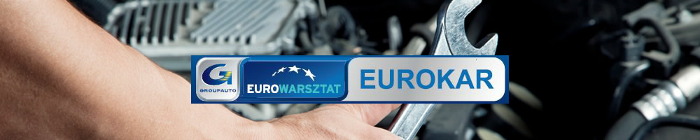 http://matisoft.pl/p2v2