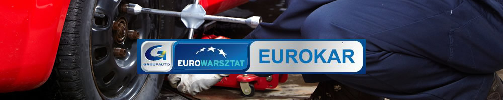 http://matisoft.pl/p2v2